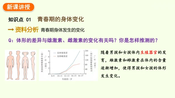 4.1.2 青春期-七年级生物下学期同步精品课件（2024人教版）(共27张PPT)