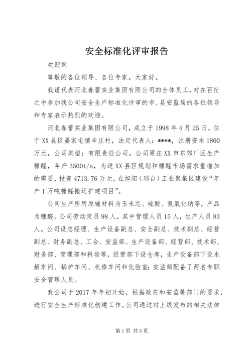 安全标准化评审报告 (2).docx