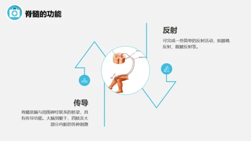 脊髓损伤术后护理查房通用PPT模板