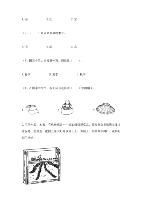 教科版二年级上册科学期末测试卷（实用）word版.docx