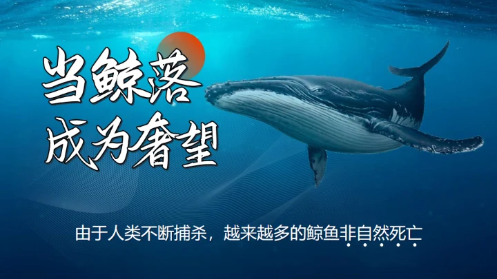 鲸落万物生鲸鱼知识讲座通用PPT模板