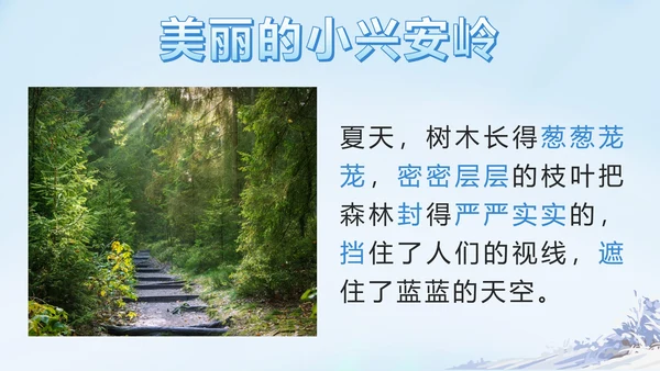 部编版三年级上册第二十课美丽的小兴安岭PPT模板