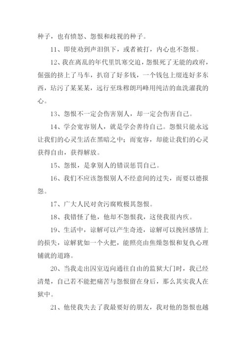 怨恨近反义词.docx