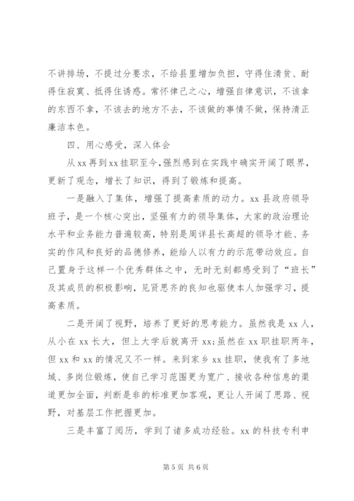 副县长挂职的年度工作总结范文.docx