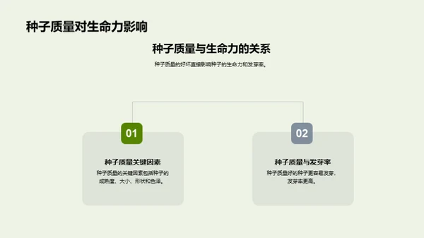 种子生命力研究