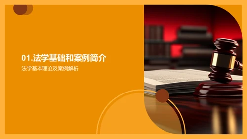 法学实践探析