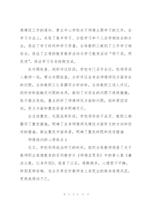 师德师风培训的心得体会5篇.docx