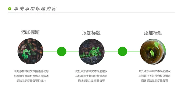 唯美绿色植物生长发芽敬畏生命PPT模板