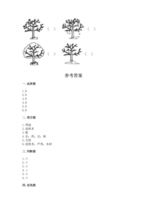 教科版二年级上册科学期末测试卷精品（能力提升）.docx