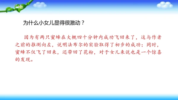 14《蜜蜂》课件