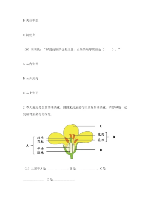 教科版四年级下册科学第一单元《植物的生长变化》测试卷【研优卷】.docx