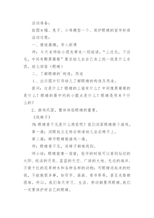 爱眼护眼健康教育教案.docx