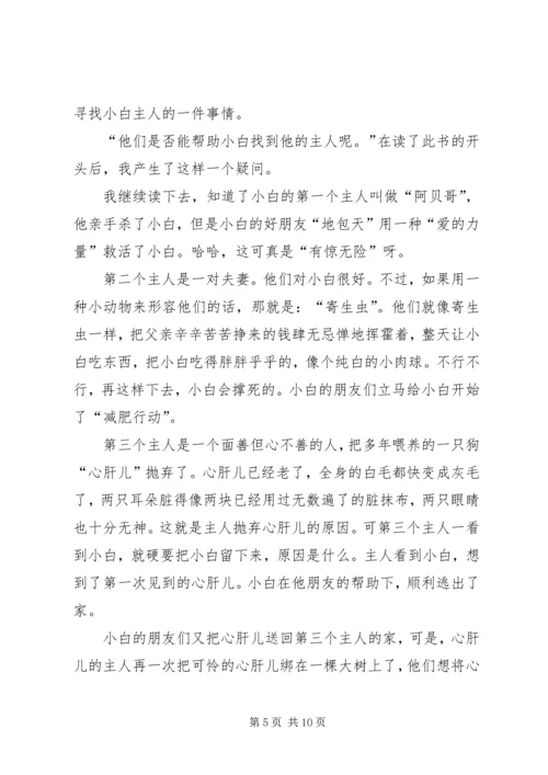小白的选择读后感 (2).docx