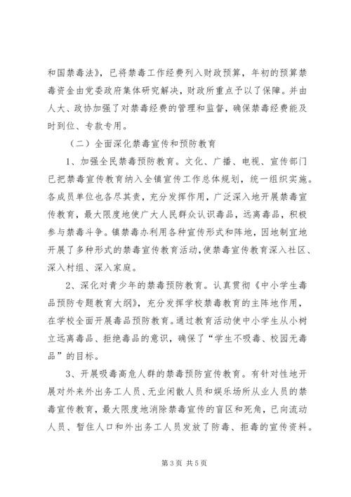 人民政府某年禁毒工作总结.docx