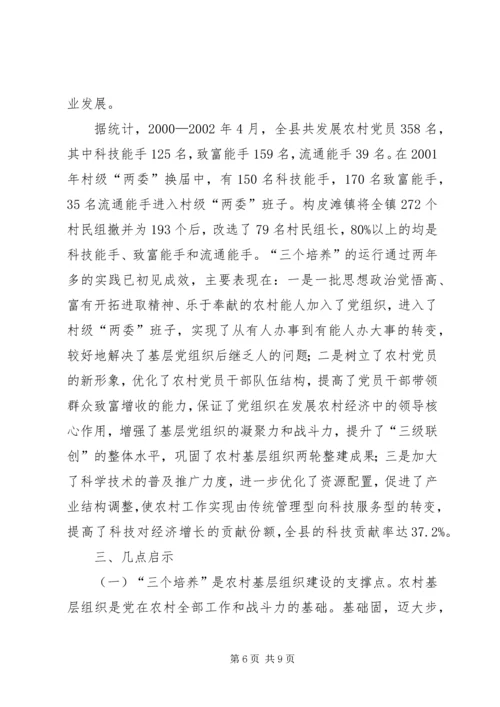建设农村高素质党员队伍的有效途径.docx
