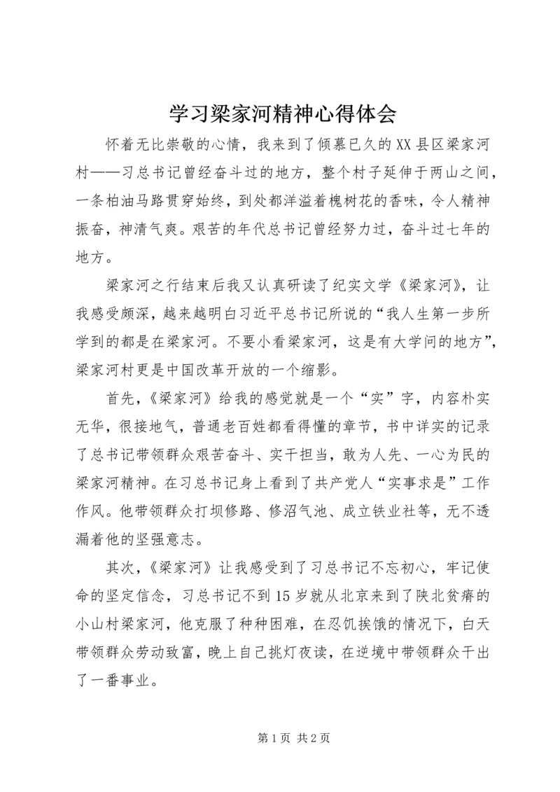 学习梁家河精神心得体会 (5).docx