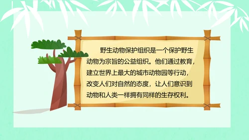 大熊猫国际野生动物保护日PPT模板