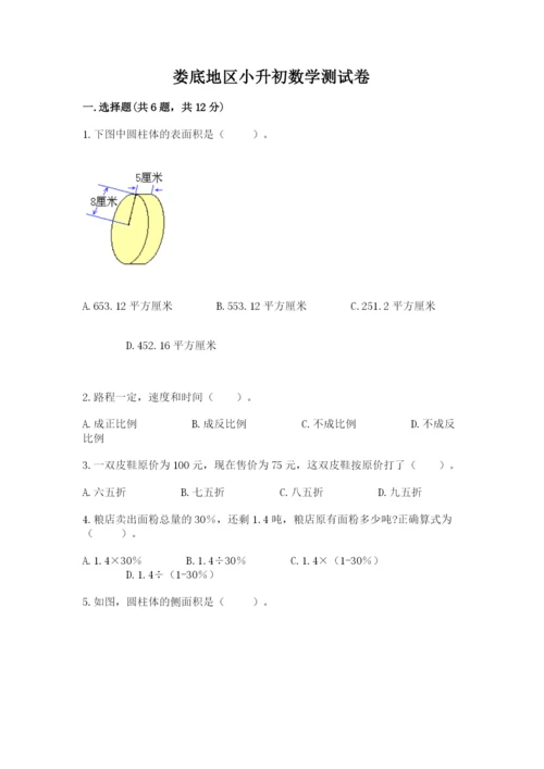 娄底地区小升初数学测试卷完整.docx