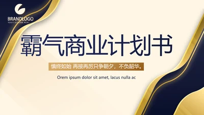 高端霸气商业计划书PPT动态模板