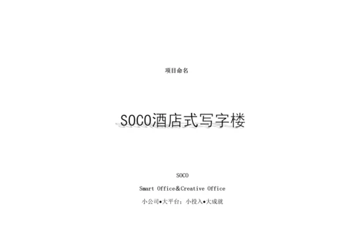 商务大厦连锁酒店式写字楼推广综合计划.docx