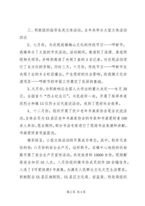 乡镇文化站某年工作总结及某年规划.docx