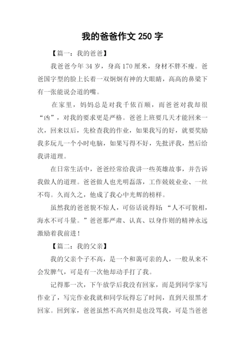 我的爸爸作文250字.docx