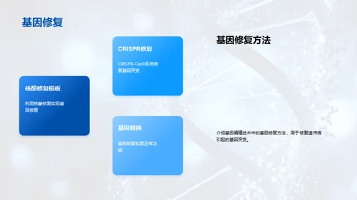 商务风生物医疗教学课件PPT模板