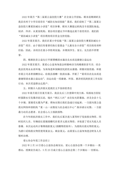 爱心协会年度工作总结.docx