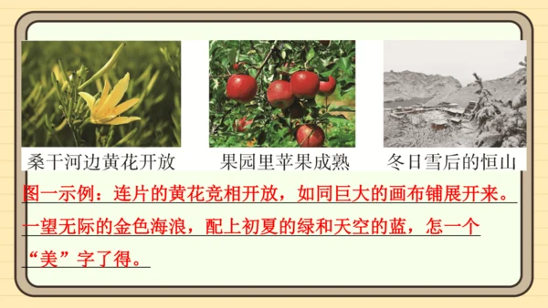 统编版语文四年级上册主题五　祖国风光 阅读与写作指导课件