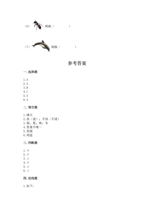 教科版二年级上册科学期末测试卷带答案（基础题）.docx