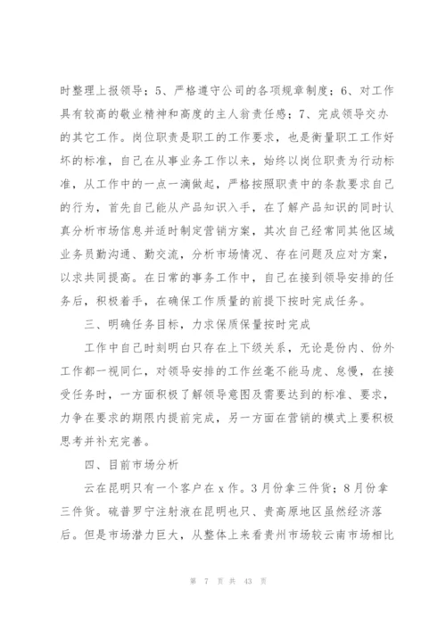 药品销售员个人工作总结与计划.docx