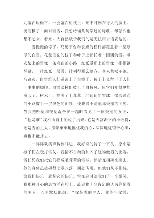 描写下雪场景的作文.docx