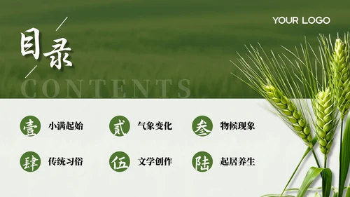绿色小满节气介绍通用模板