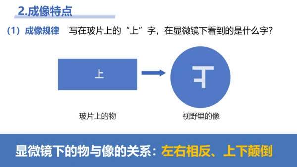 【核心素养目标】2.1.1《练习使用显微镜》课件(共42张PPT)