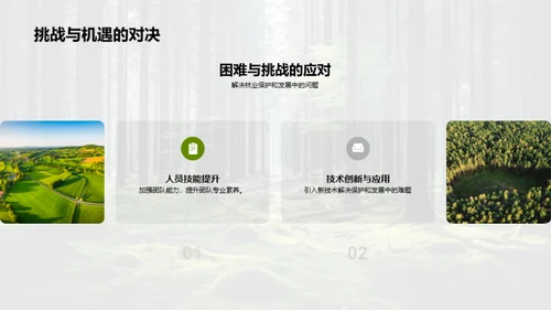 森林保护成就与前瞻