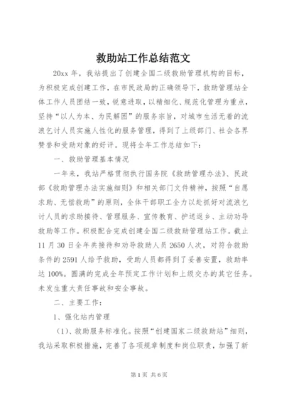 救助站工作总结范文.docx