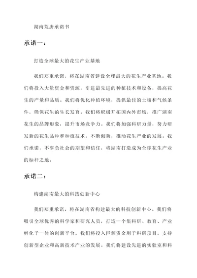 湖南荒唐承诺书