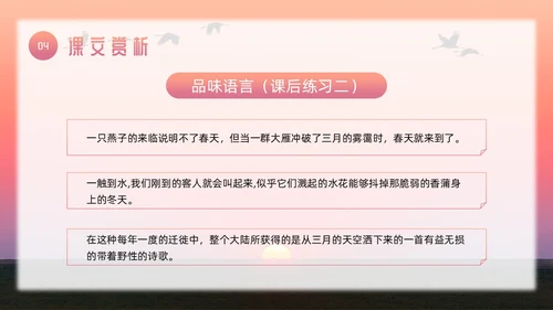 粉色简约八年级语文下册大雁归来PPT模板宣传PPT动态PP