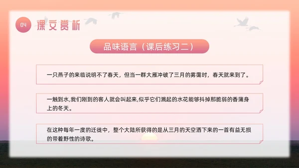 粉色简约八年级语文下册大雁归来PPT模板宣传PPT动态PP