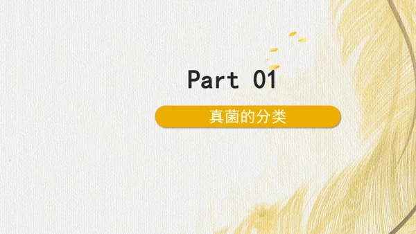 人教版（2024）七年级上册2.3.3真菌(共27张PPT)+视频素材
