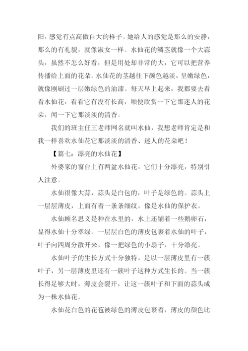 水仙花作文开头.docx