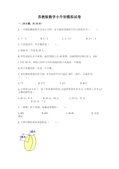 苏教版数学小升初模拟试卷（精选题）.docx
