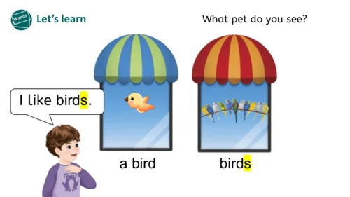 Unit 3 Amazing animals Part A Let's learn（优课）课件（19