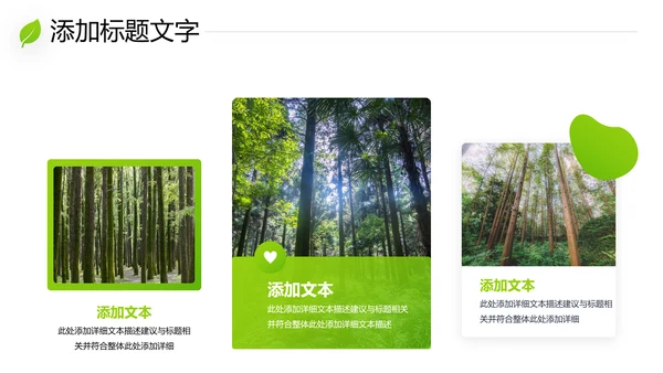 绿色环保森林湿地环境保护生态森林业PPT