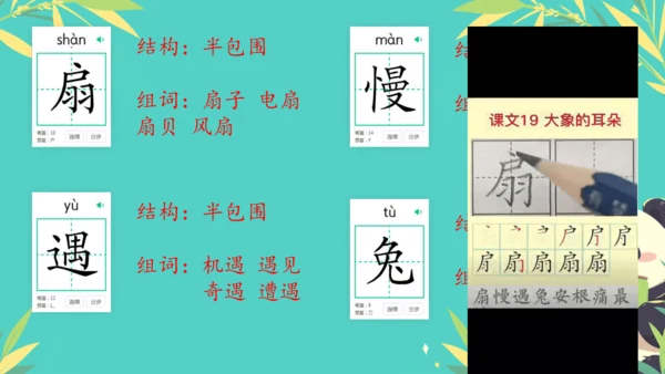 19大象的耳朵  课件
