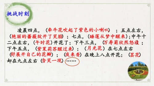 13《花钟》（课件）
