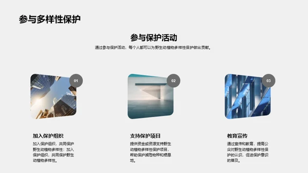 3D风其他行业教育活动PPT模板