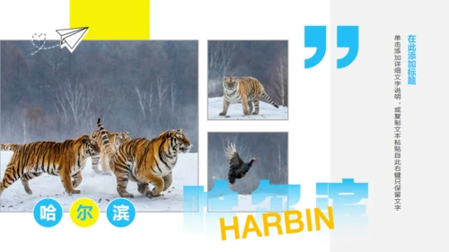 哈尔滨城市文旅宣传通用PPT模板
