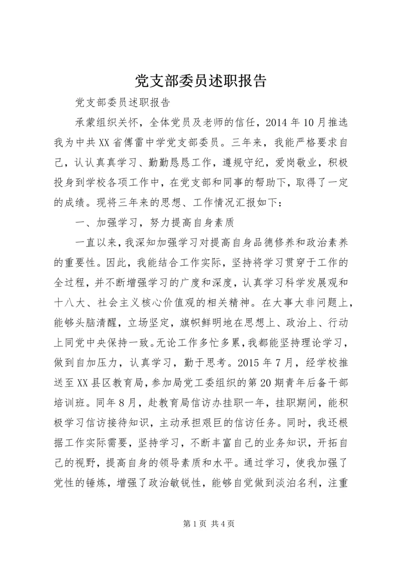 党支部委员述职报告.docx