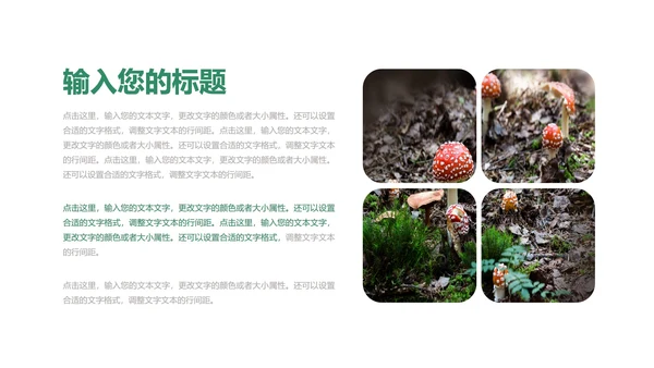 绿色插画风教育教学PPT模板